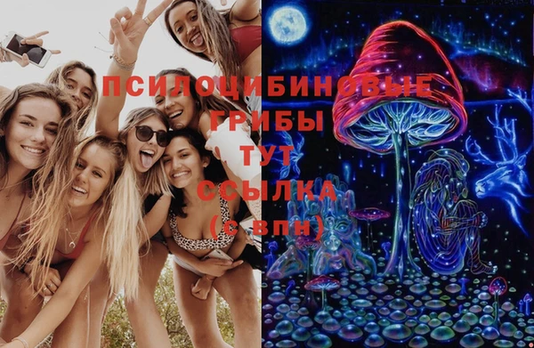 мяу мяу мука Бородино