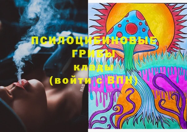 индика Бугульма
