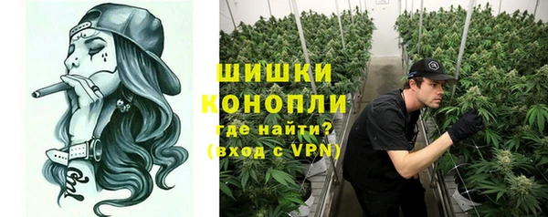 мяу мяу мука Бородино