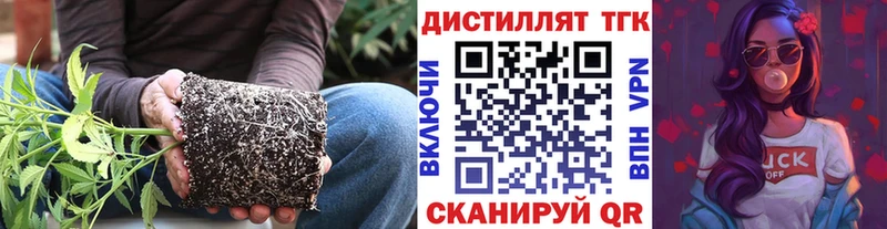 Дистиллят ТГК Wax  Яранск 